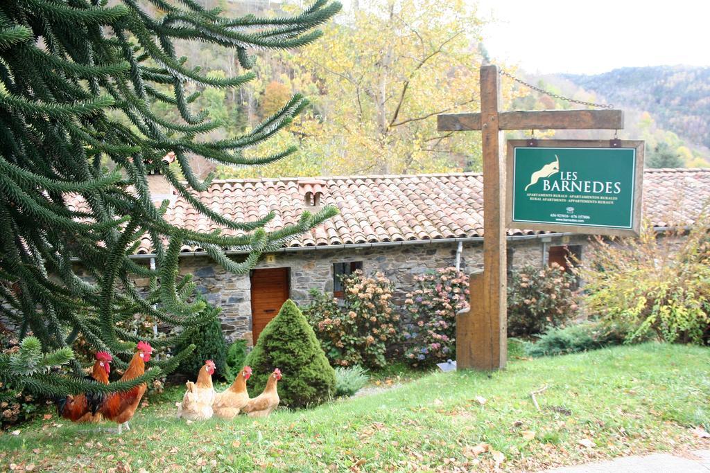 Apartamentos Rurales Les Barnedes Molló Zewnętrze zdjęcie