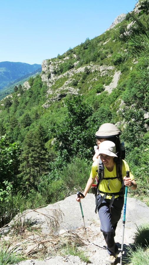 Apartamentos Rurales Les Barnedes Molló Zewnętrze zdjęcie