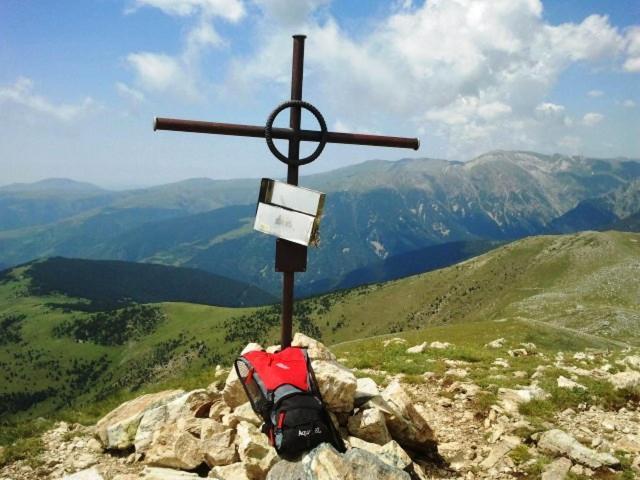 Apartamentos Rurales Les Barnedes Molló Zewnętrze zdjęcie